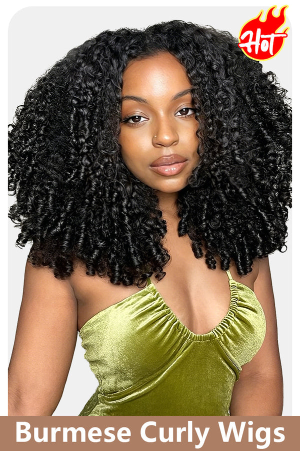 Burmese Curly