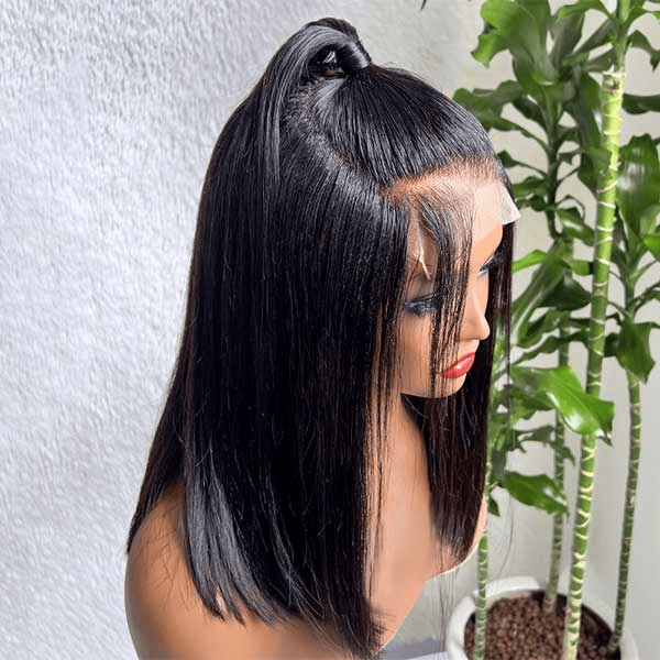 Pre-Styled Ponytail Glueless Straight 5x5 Undetectable Lace Wig What You See Is What You Get