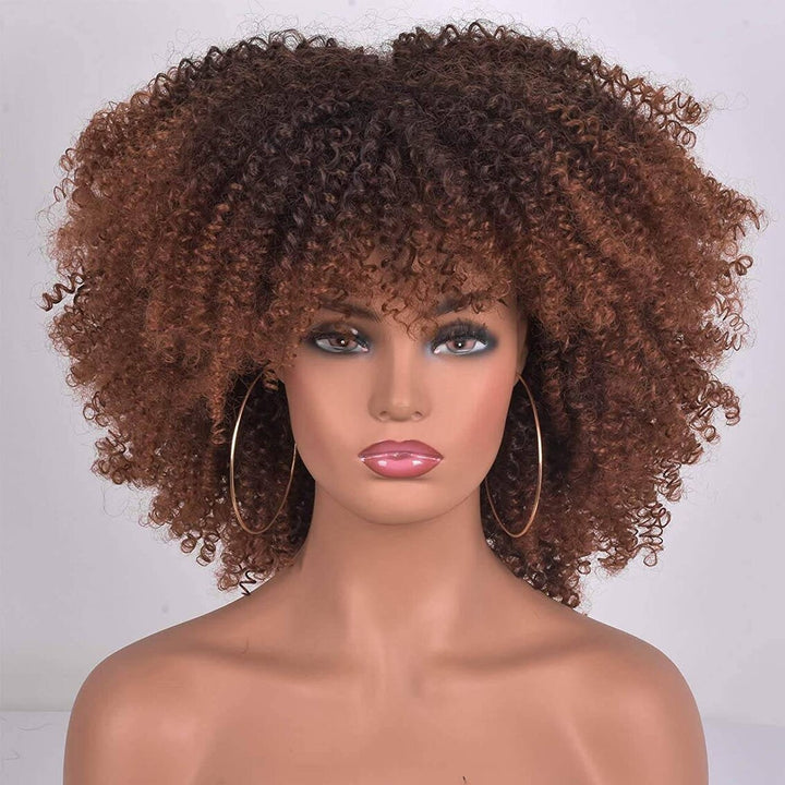 Afro Curly Ombre Brown Human Hair Wigs